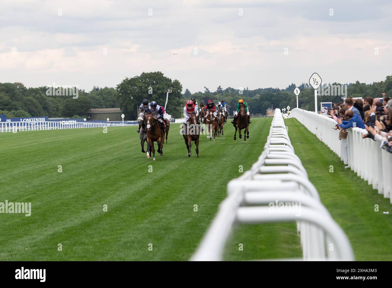 Ascot, Berkshire, Großbritannien. Juli 2024. Das Foundation Developments Property Race Day Charity Race Rennen auf der Ascot Racecourse beim Summer Mile Property Raceday. Quelle: Maureen McLean/Alamy Live News Stockfoto