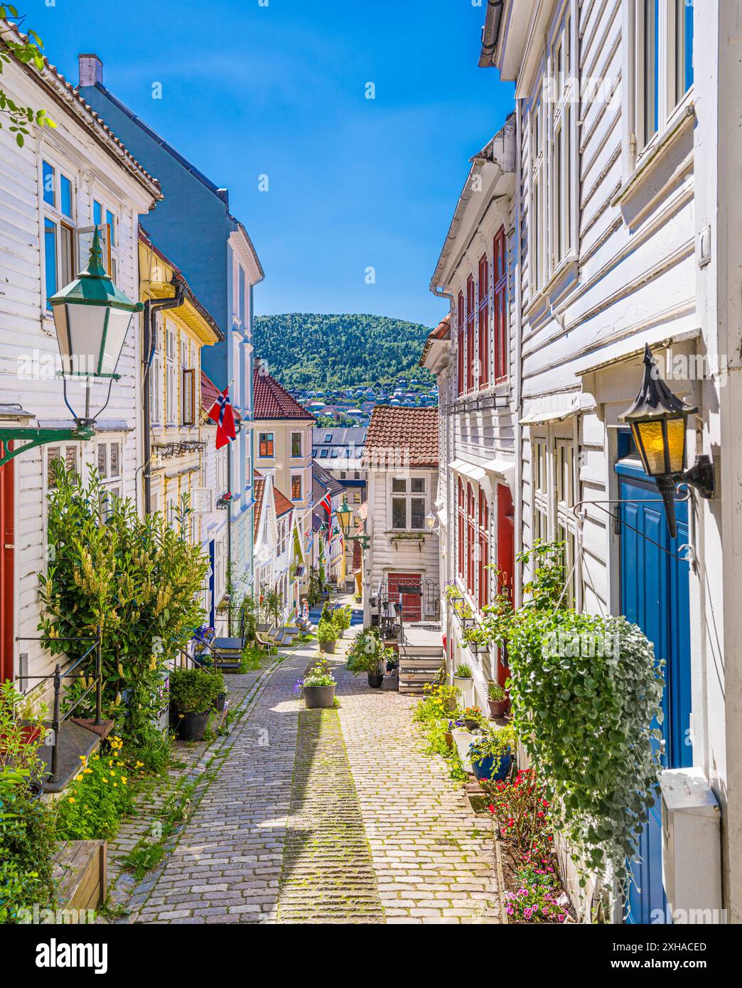 Frühlingszeit in Klosteret in Bergen, Norwegen. Stockfoto