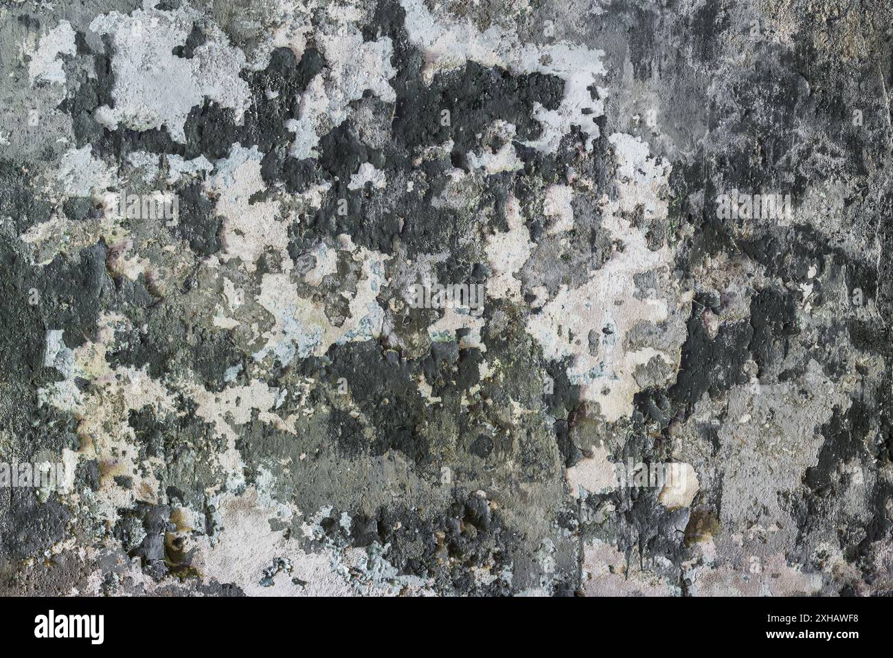 Graue Lackschicht, Die Sich Von Einer Alten Zerbrochenen Wand Aus Industriebeton Löst. Tarnmuster Stockfoto