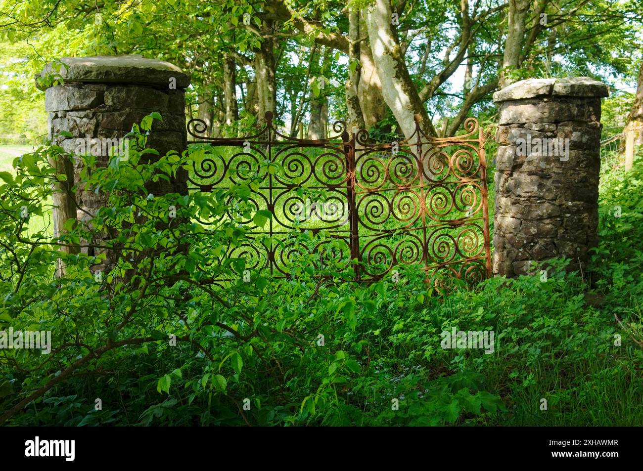 Alte schmiedeeiserne Tore am Ballylough House in der Nähe von Bushmills, County Antrim, Nordirland Stockfoto