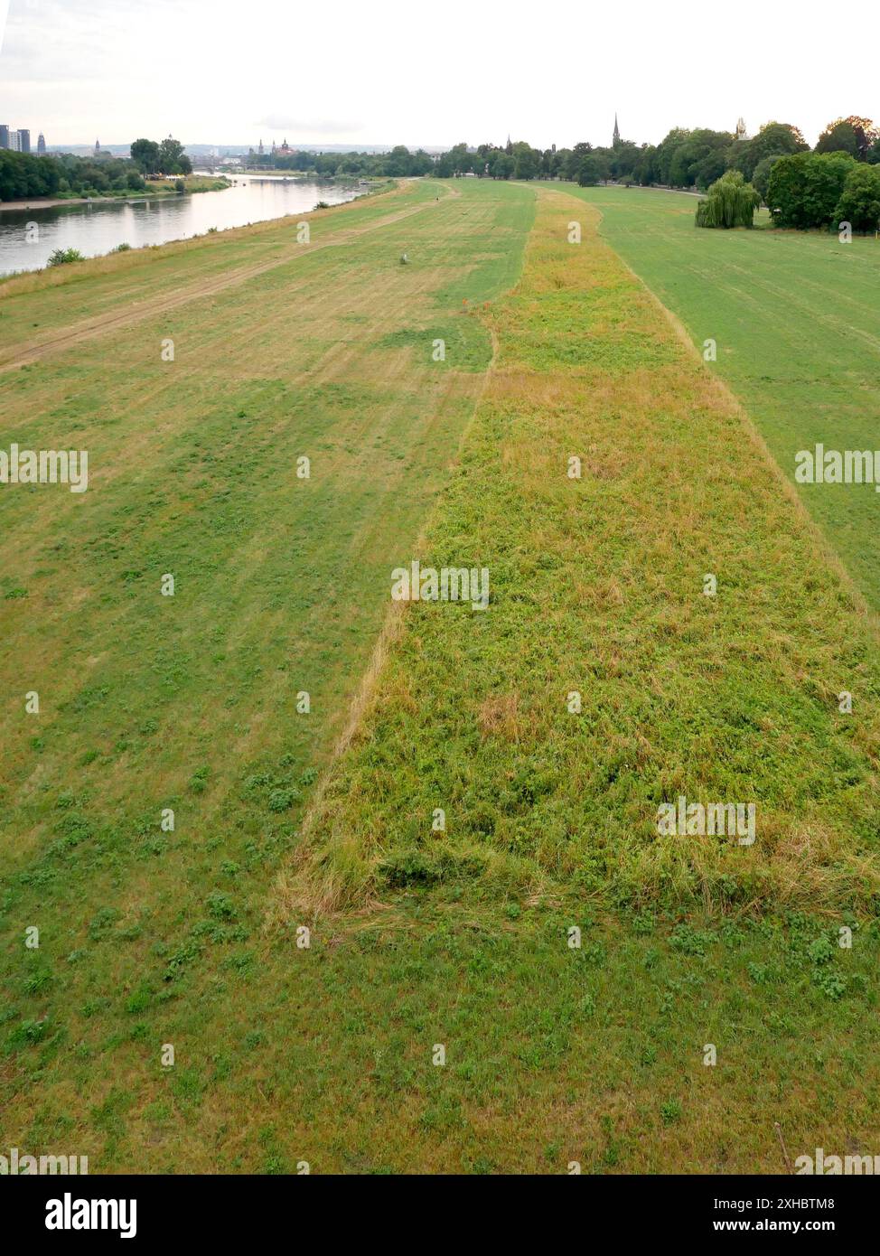 Die grünen Elbwiesen, zum Schutz des Ökosystems und der Insekten teilweise unbemäht, bieten eine friedliche Atmosphäre mit Blick auf die Elbe bis zum Horizont Stockfoto