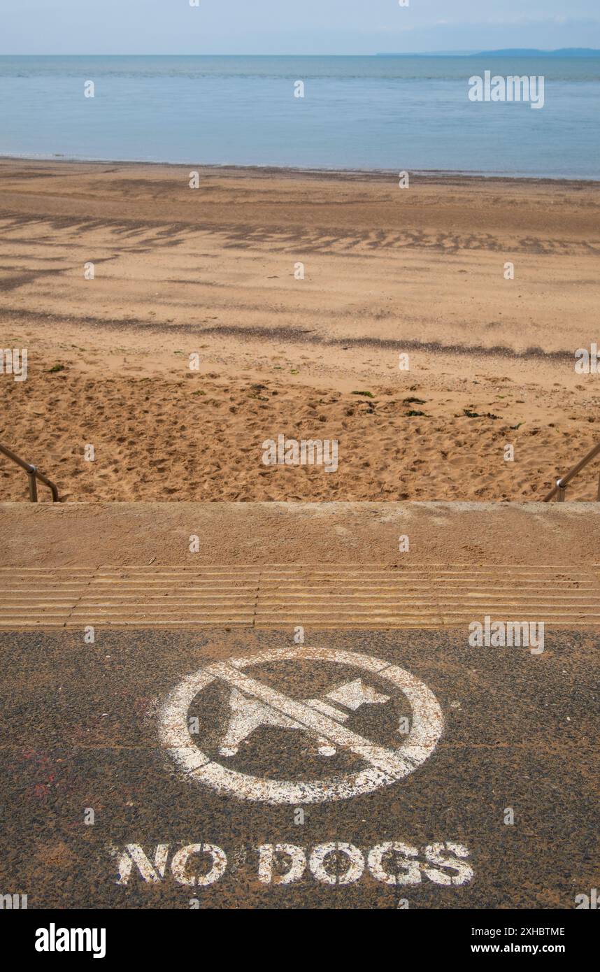 Am Strand von Budleigh Salterton, einer Küstenstadt East Devon, England, gibt es keine Schilder für Hunde Stockfoto