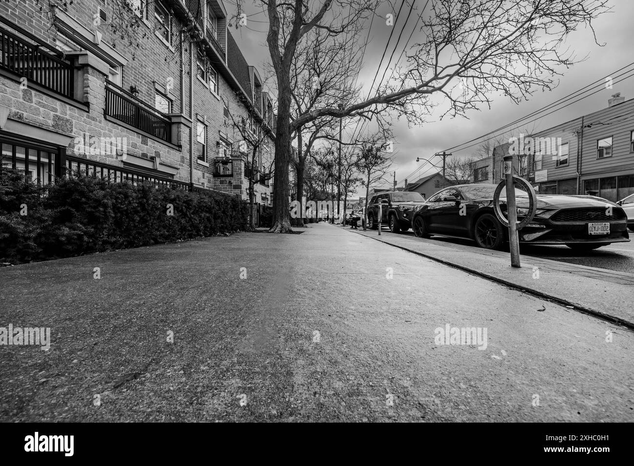 Schwarz-weiß. Winter, schwarz-weiß Straße in Toronto. Regnerisch, bewölkt. Stockfoto