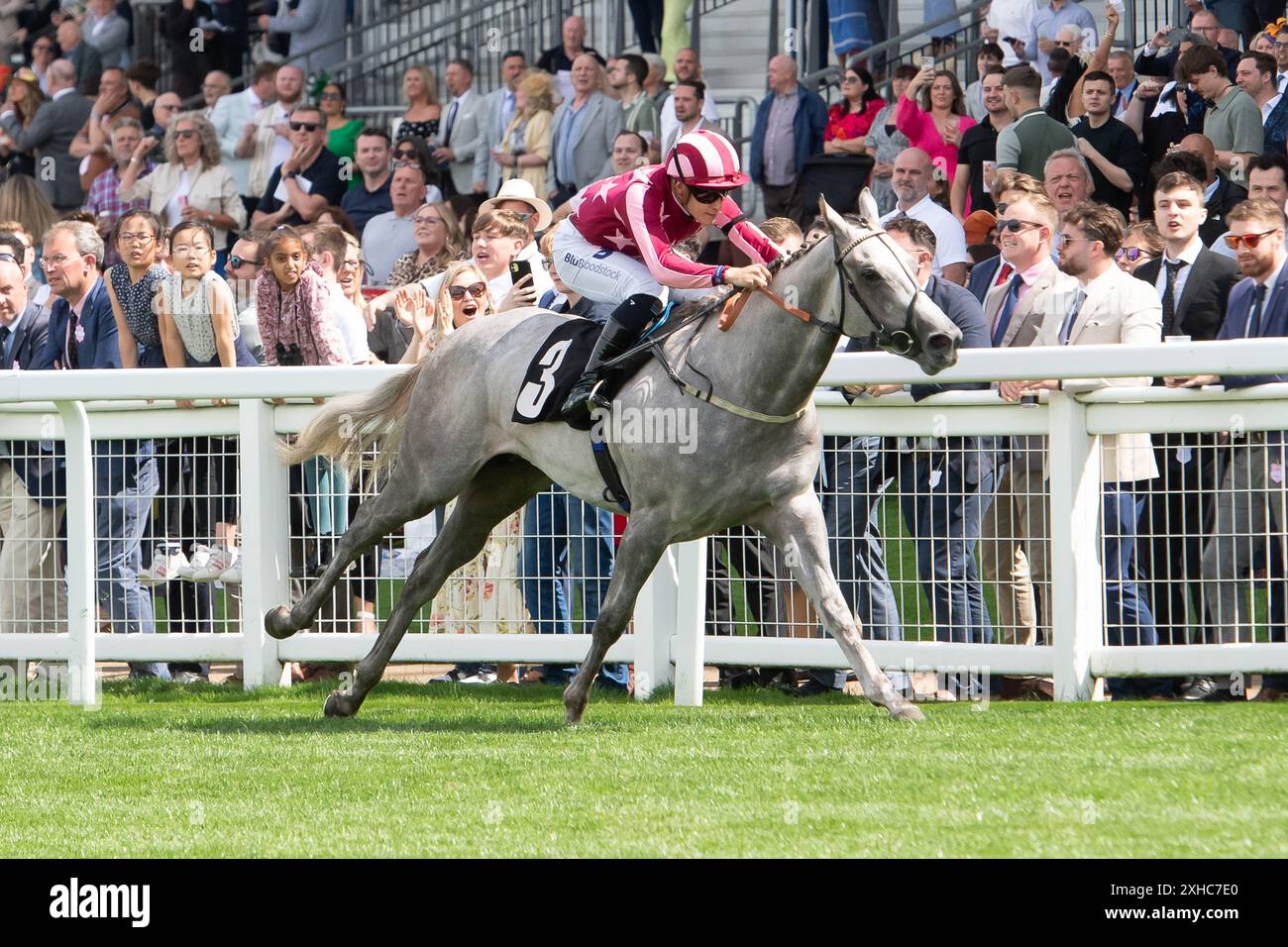 Ascot, Berkshire, Großbritannien. Juli 2024. Horse Tiger Mask, geritten von Jockey Pierre-Louis Jamin, gewinnt beim Summer Mile Family Raceday den Juddmonte British EBF Restricted Stakes für Anfänger auf der Ascot Racecourse in Berkshire. Besitzer Ryan Kent, Trainer K R Burke, Leyburn, Züchter D & E Phelan. Quelle: Maureen McLean/Alamy Live News Stockfoto