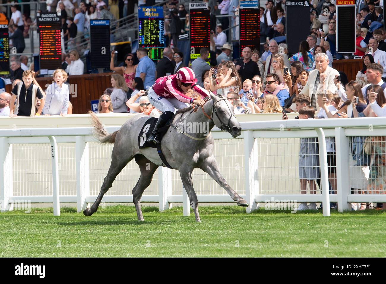 Ascot, Berkshire, Großbritannien. Juli 2024. Horse Tiger Mask, geritten von Jockey Pierre-Louis Jamin, gewinnt beim Summer Mile Family Raceday den Juddmonte British EBF Restricted Stakes für Anfänger auf der Ascot Racecourse in Berkshire. Besitzer Ryan Kent, Trainer K R Burke, Leyburn, Züchter D & E Phelan. Quelle: Maureen McLean/Alamy Live News Stockfoto