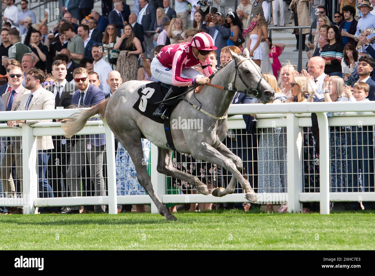 Ascot, Berkshire, Großbritannien. Juli 2024. Horse Tiger Mask, geritten von Jockey Pierre-Louis Jamin, gewinnt beim Summer Mile Family Raceday den Juddmonte British EBF Restricted Stakes für Anfänger auf der Ascot Racecourse in Berkshire. Besitzer Ryan Kent, Trainer K R Burke, Leyburn, Züchter D & E Phelan. Quelle: Maureen McLean/Alamy Live News Stockfoto