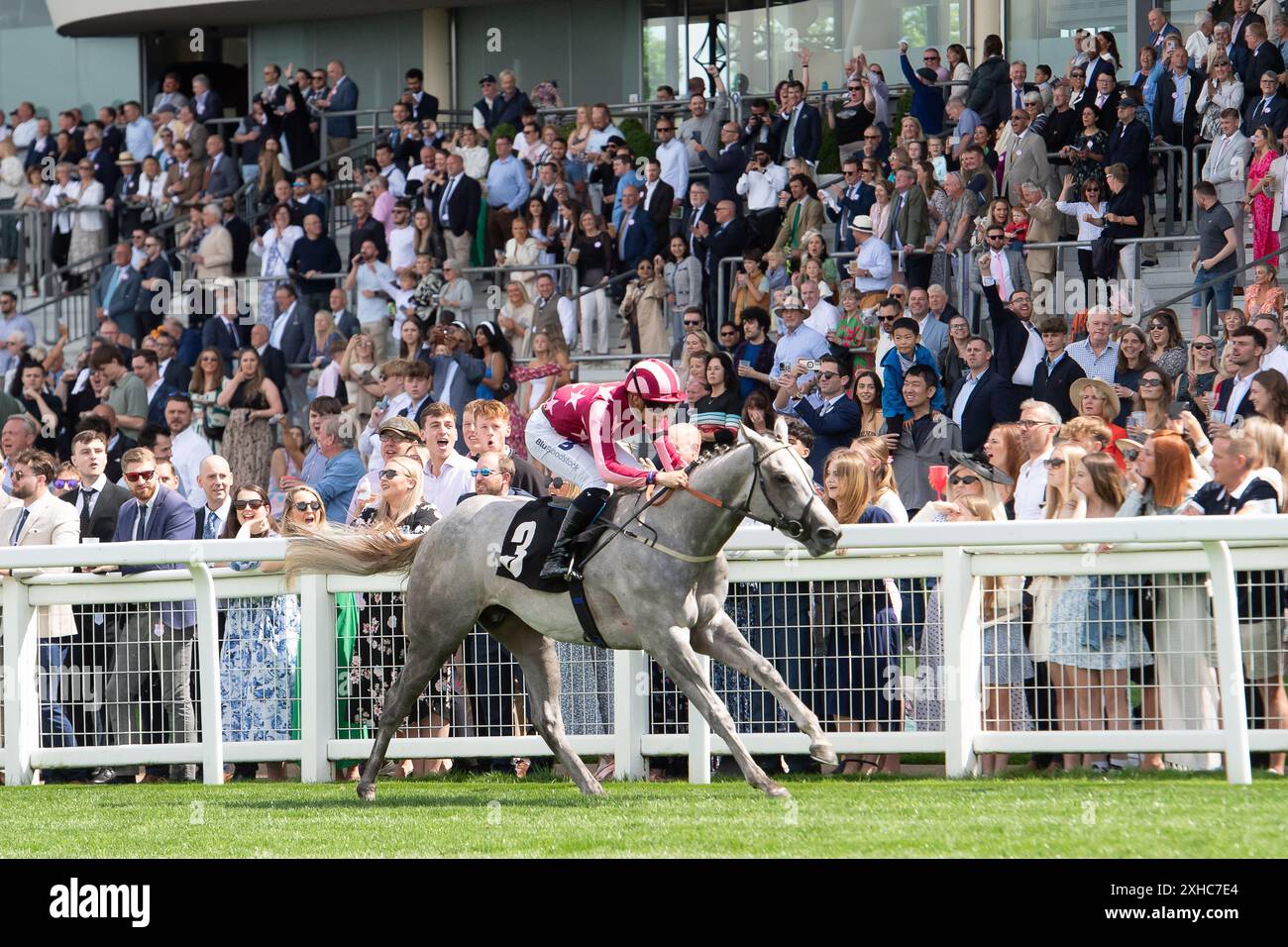 Ascot, Berkshire, Großbritannien. Juli 2024. Horse Tiger Mask, geritten von Jockey Pierre-Louis Jamin, gewinnt beim Summer Mile Family Raceday den Juddmonte British EBF Restricted Stakes für Anfänger auf der Ascot Racecourse in Berkshire. Besitzer Ryan Kent, Trainer K R Burke, Leyburn, Züchter D & E Phelan. Quelle: Maureen McLean/Alamy Live News Stockfoto