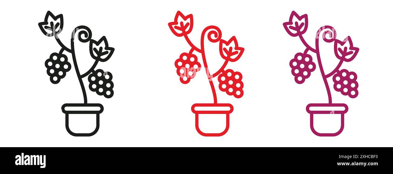 Beerensträucher und Reben Symbol Vektorsymbol oder Zeichensatz Kollektion in schwarz-weiß Umrandung Stock Vektor