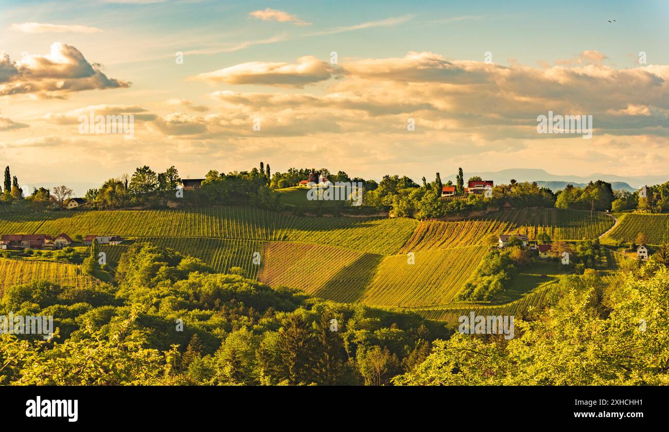 Sonnenuntergang über der Weinberglandschaft der Südsteiermark in Steiermark, Österreich. Schönes ruhiges Ziel für einen Besuch des berühmten Weißweins. Tra Stockfoto