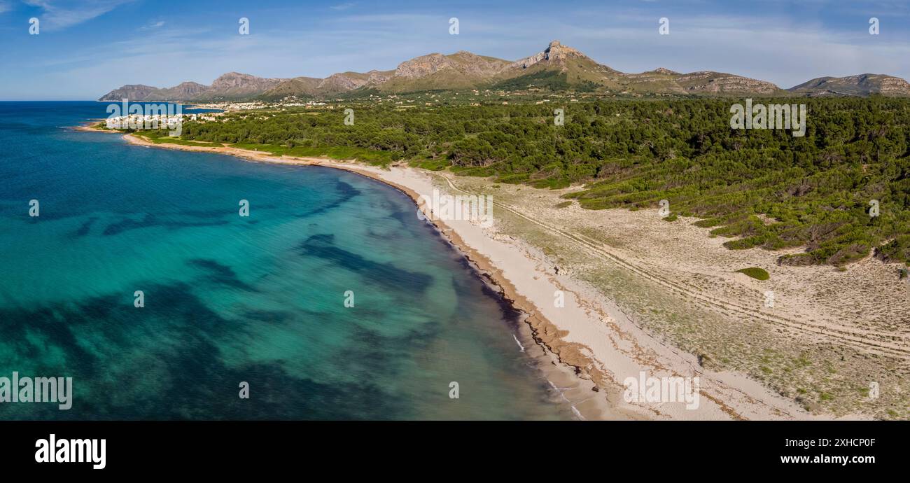 Arenal de sa Canova, Arta, Santa Margalida, Naturgebiet von besonderem Interesse, Mallorca, Balearen, Spanien Stockfoto