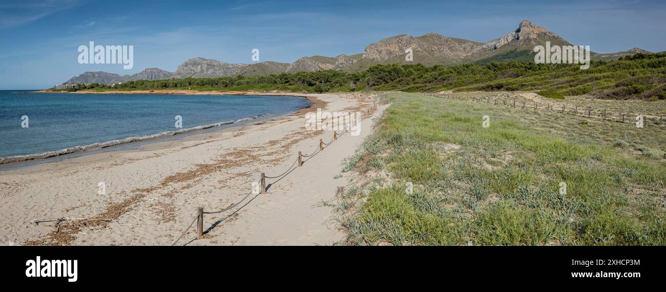 Arenal de sa Canova, Arta, Santa Margalida, Naturgebiet von besonderem Interesse, Mallorca, Balearen, Spanien Stockfoto