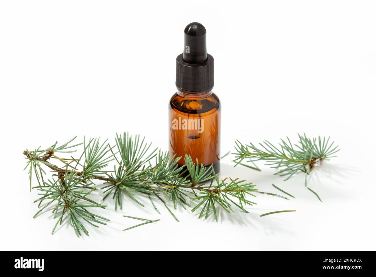 Ätherisches Öl aus Tanne. Tanne Öl für Hautpflege, Spa, Wellness, Massage, Aromatherapie und Naturmedizin Stockfoto