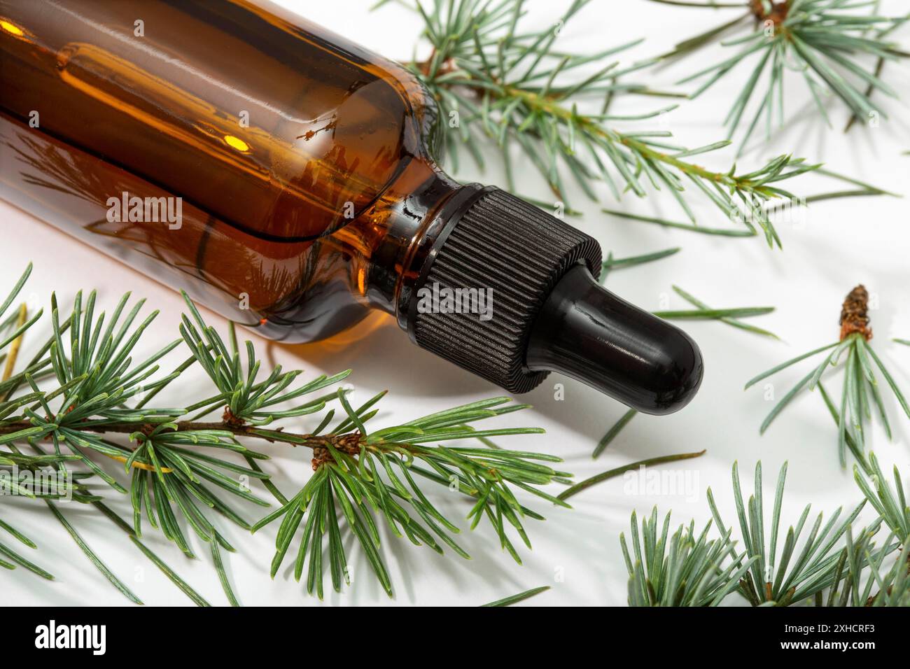 Ätherisches Öl aus Tanne. Tanne Öl für Hautpflege, Spa, Wellness, Massage, Aromatherapie und Naturmedizin Stockfoto