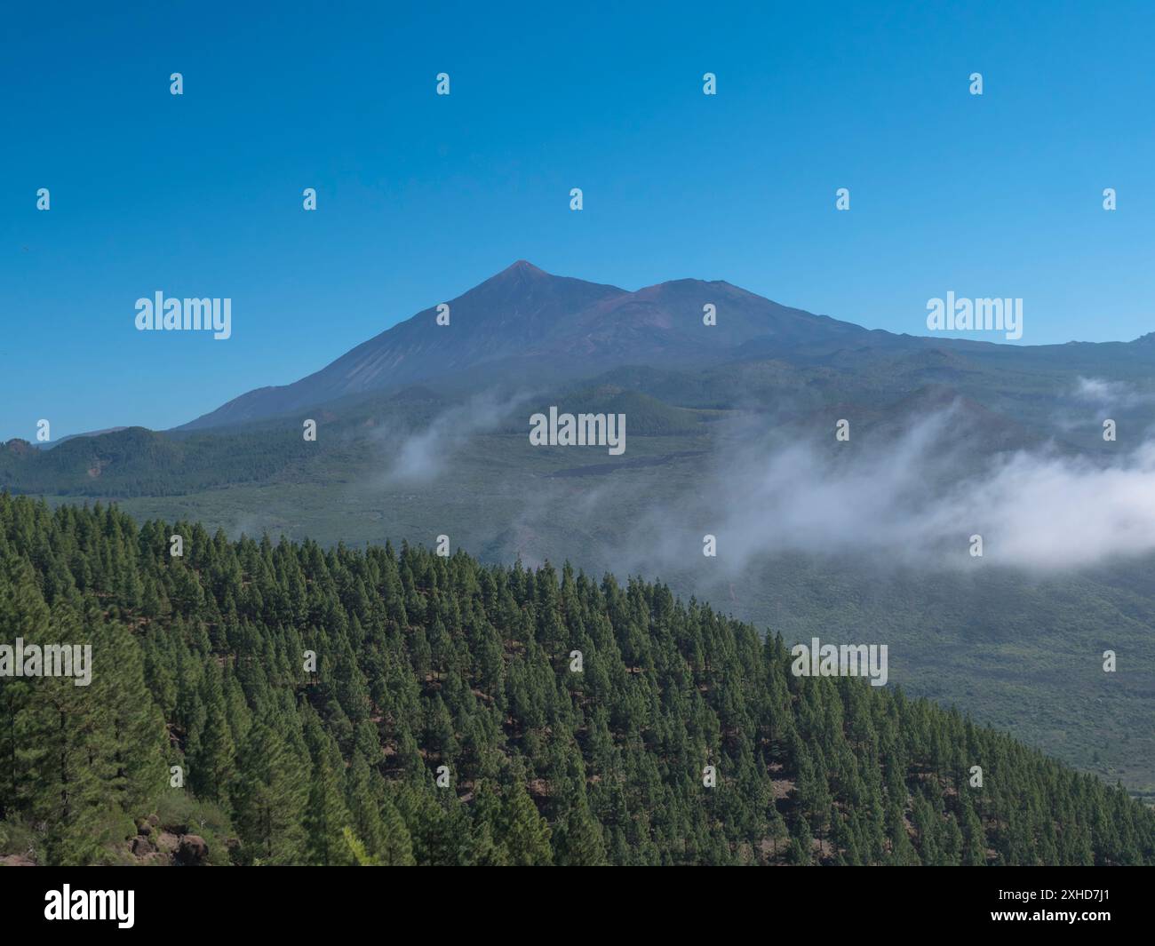 Panoramablick auf den Vulkan Pico del Teide, umgeben von Kiefernwäldern, Teno Bergkette, Teneriffa, Kanarische Inseln, Spanien, Europa. Wanderweg Stockfoto