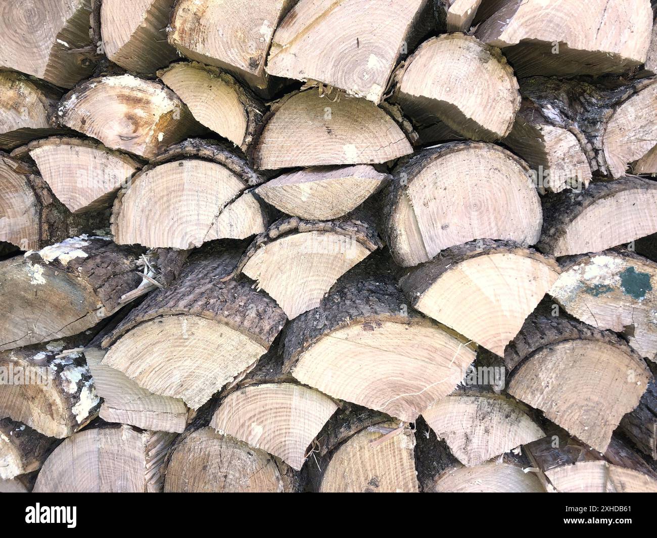 Endansicht des Brennholzes, das zur Vorbereitung auf einen kalten Winter gespalten und gestapelt wurde. Stockfoto