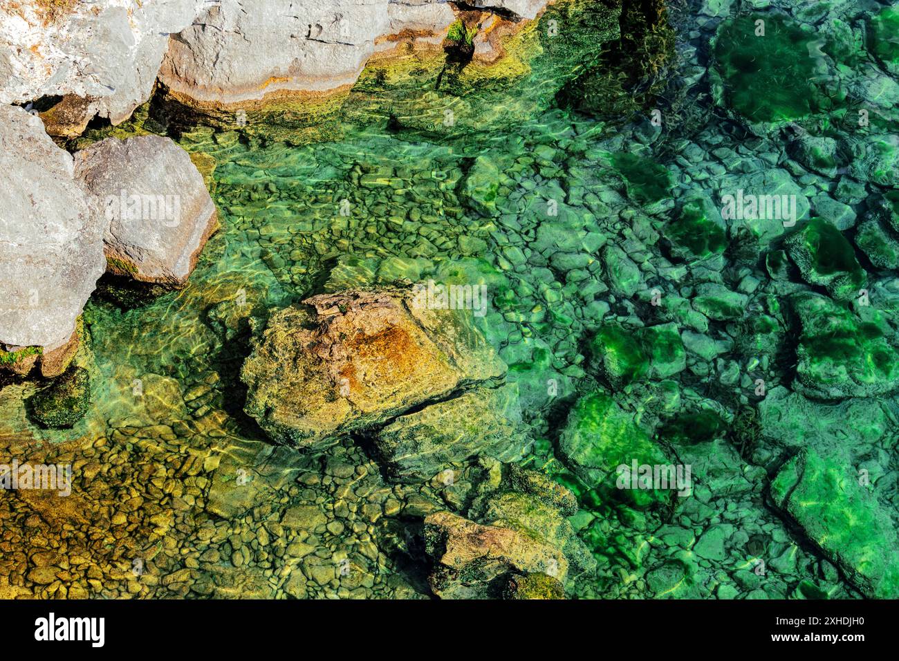 Klares, grünes Wasser fließt über Felsen in einem flachen Bach und offenbart die glatten Steine unter der Oberfläche. Stockfoto