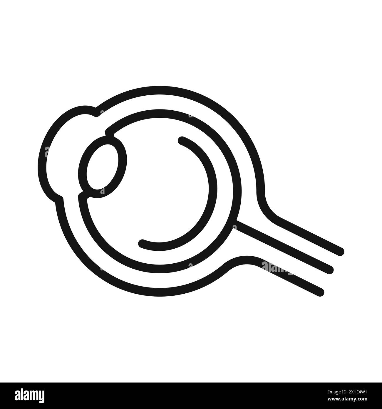 Augenorgel-Symbol Vektorsymbol oder Zeichensatz-Kollektion in schwarz-weißer Umrandung Stock Vektor