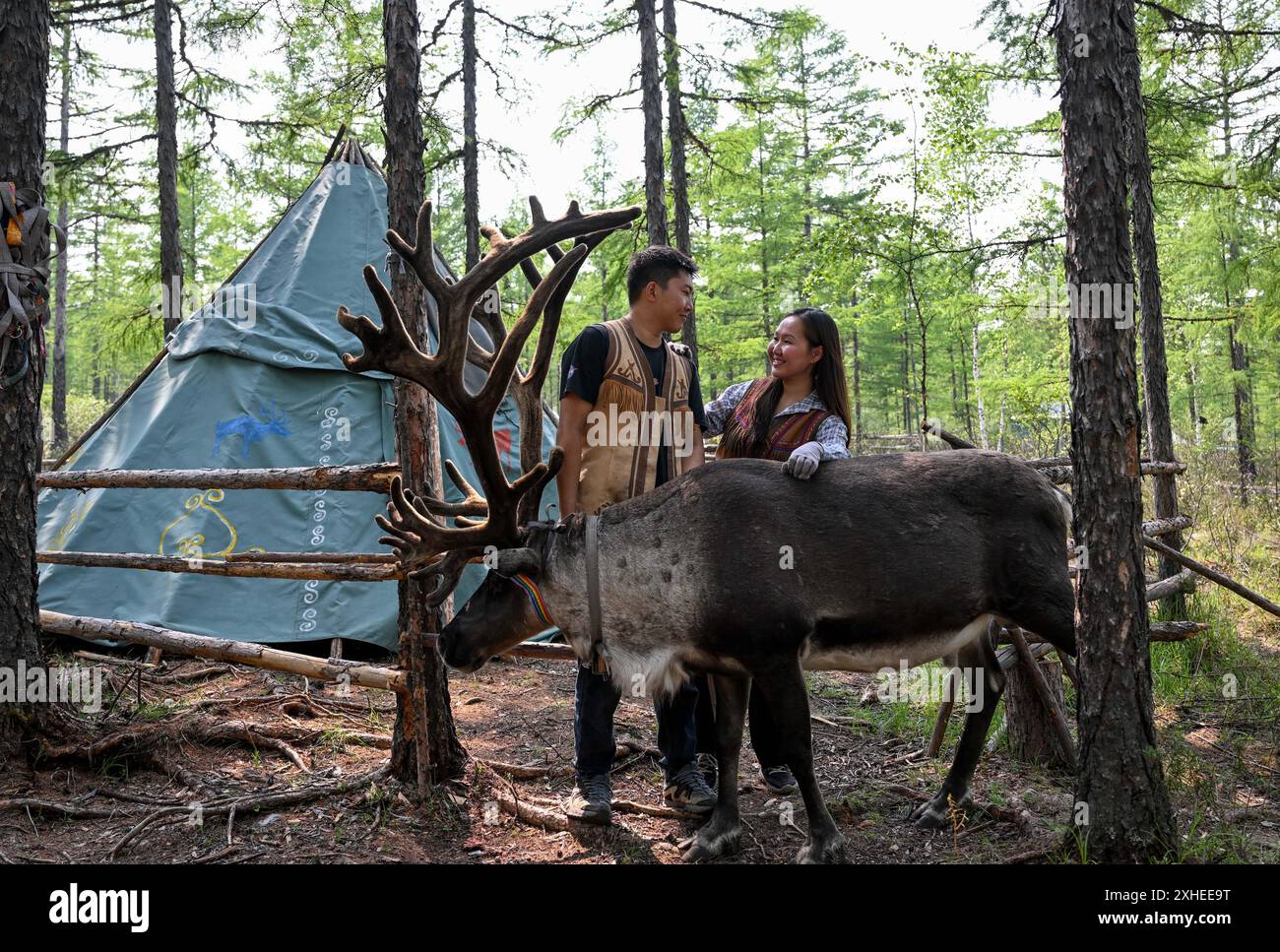 (240714) -- HULUN BUIR, 14. Juli 2024 (Xinhua) -- Ayousha und ihr Ehemann Wu Qiming posieren für Fotos mit ihren beliebtesten Rentieren auf der Rentierherde in der Stadt Jinhe in der Autonomen Region der Inneren Mongolei Nordchinas, 3. Juli 2024. Das Volk der Aoluguya Ewenki, bekannt als "der letzte Jagdstamm in China", ist die einzige ethnische Minderheit in China, die Rentiere aufzieht. Vor mehr als 20 Jahren zogen sie aus den tiefen Wäldern der Dahinggan Mountains nach Genhe City, um sich umzusiedeln, aber ihre Tradition der Rentierhaltung blieb erhalten. Ayousha ist eines der Aoluguya Ewe Stockfoto