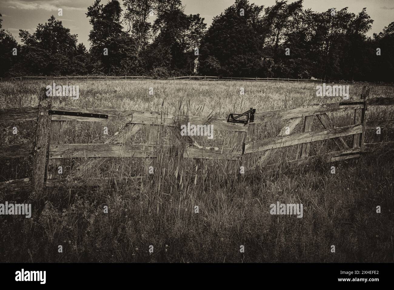 Ein alter Holzzaun auf einer Farm Stockfoto