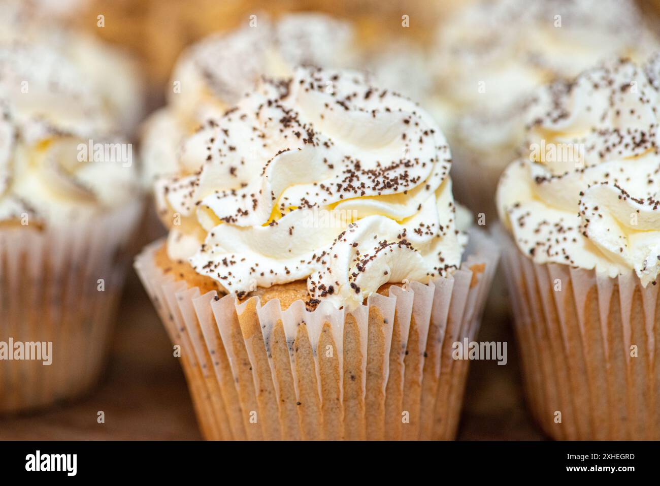 Fantastische Vanilla Cupcakes mit Vanilleglasur und Schokoladenstreuseln Vanilla Cupcakes mit Vanilleglasur und Schokoladenstreuseln Stockfoto