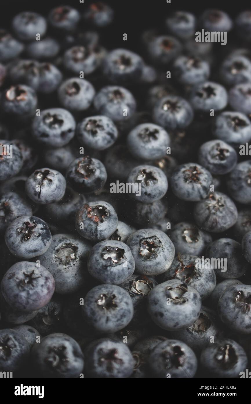 Frische Blaubeeren im Wasser aus nächster Nähe von oben. Schwarze und blaue saftige Beeren. Natürlicher blauer Hintergrund. Sommervitaminernte. Natürliche Ernährung. Stockfoto