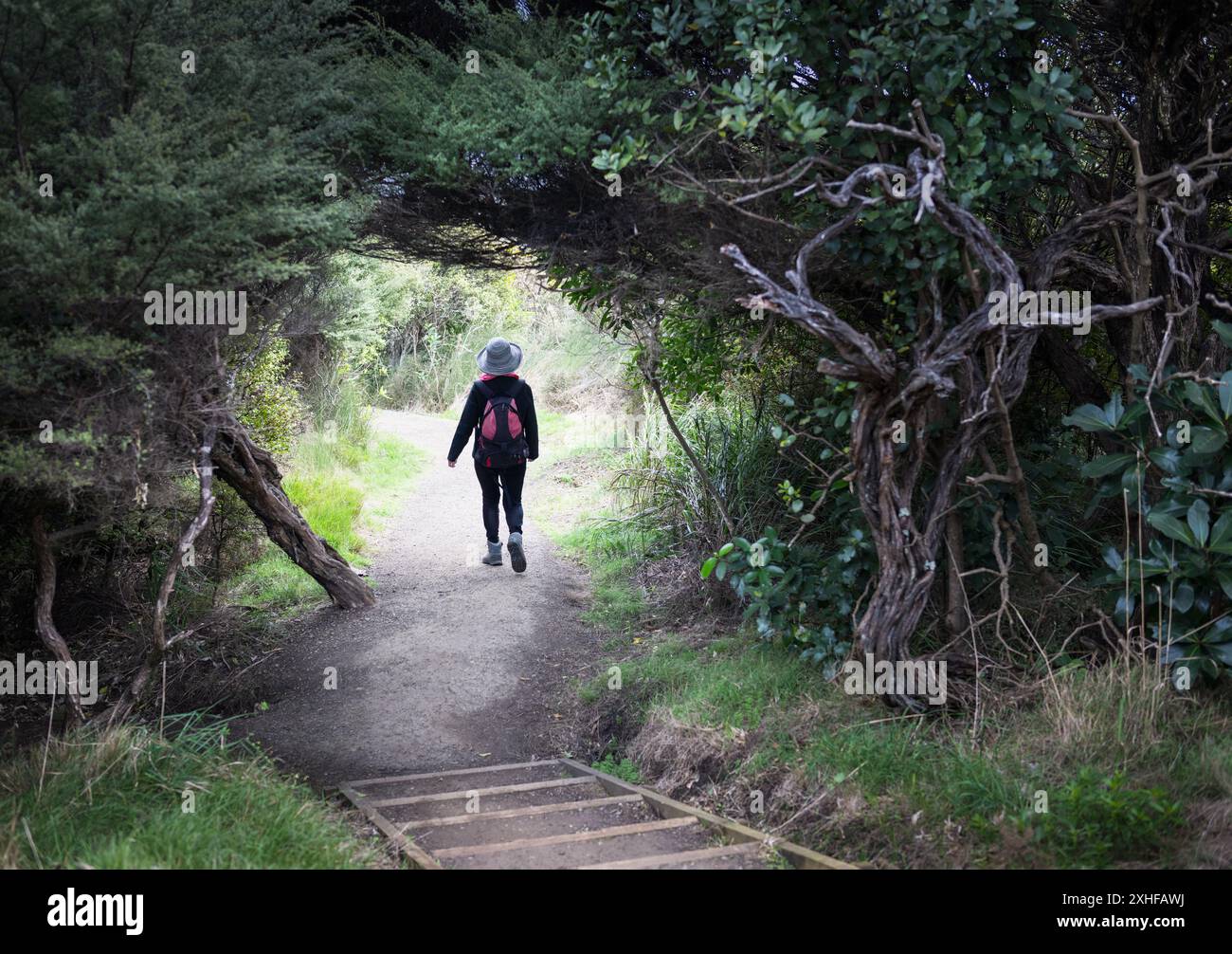 Frau, die durch einen Baumtunnel im Wald läuft. Stockfoto