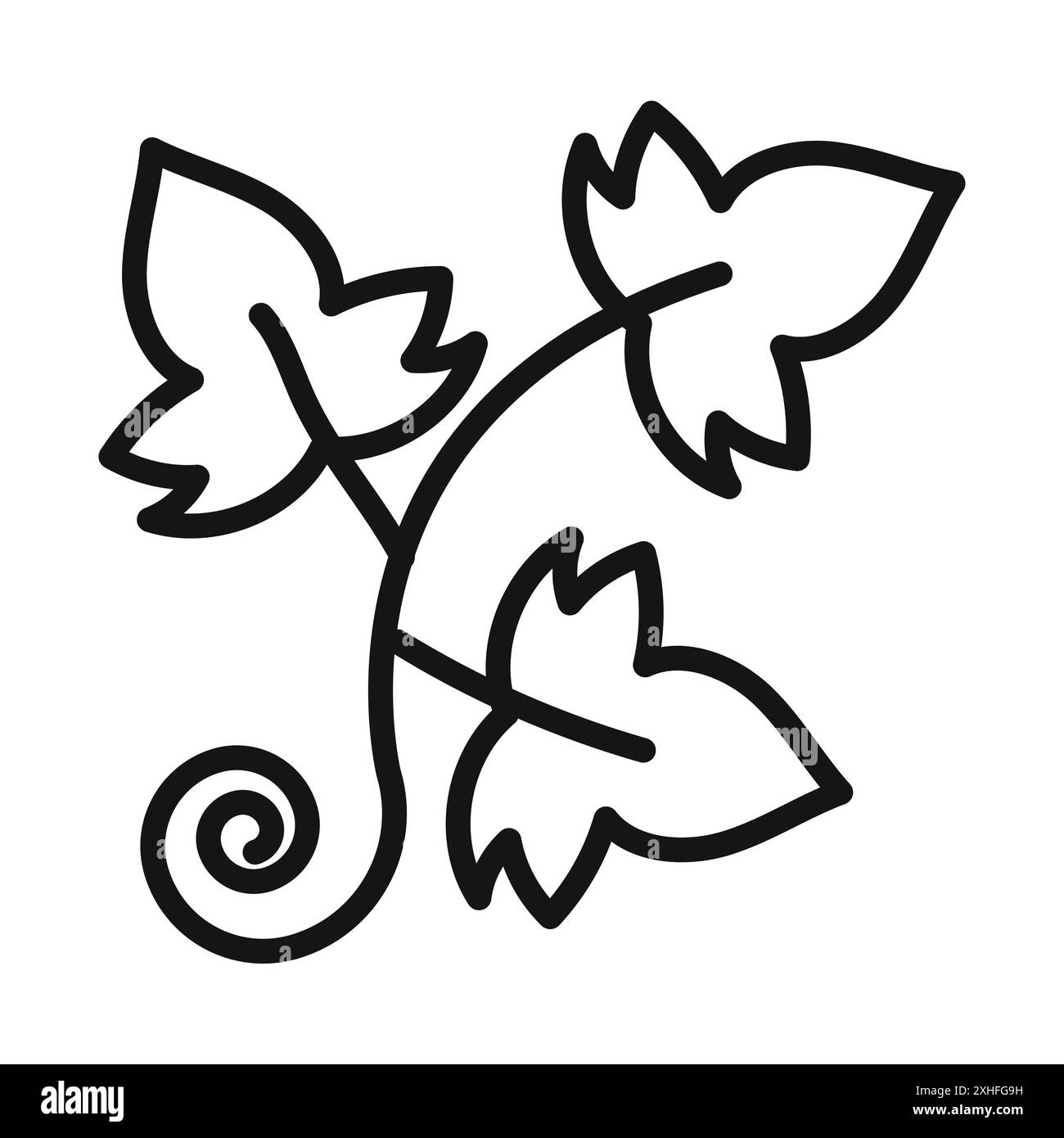 Englisches Efeu-Symbol Vektorsymbol oder Zeichensatzsammlung in schwarz-weiß-Umrisse Stock Vektor Englisches Efeu-Symbol Vektorsymbol oder Zeichensatzsammlung in schwarz-weiß-Umrisse Stock Vektor