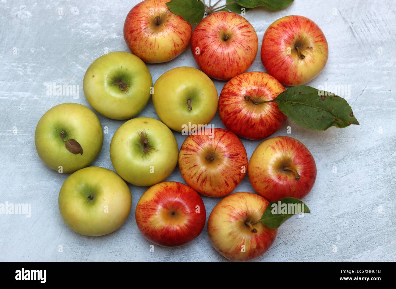 Wunderschöne grüne und rote Äpfel von oben. Saftige Bio-Früchte auf hellgrauem, strukturiertem Hintergrund mit Platz für Text. Konzept für gesunde Ernährung. Stockfoto