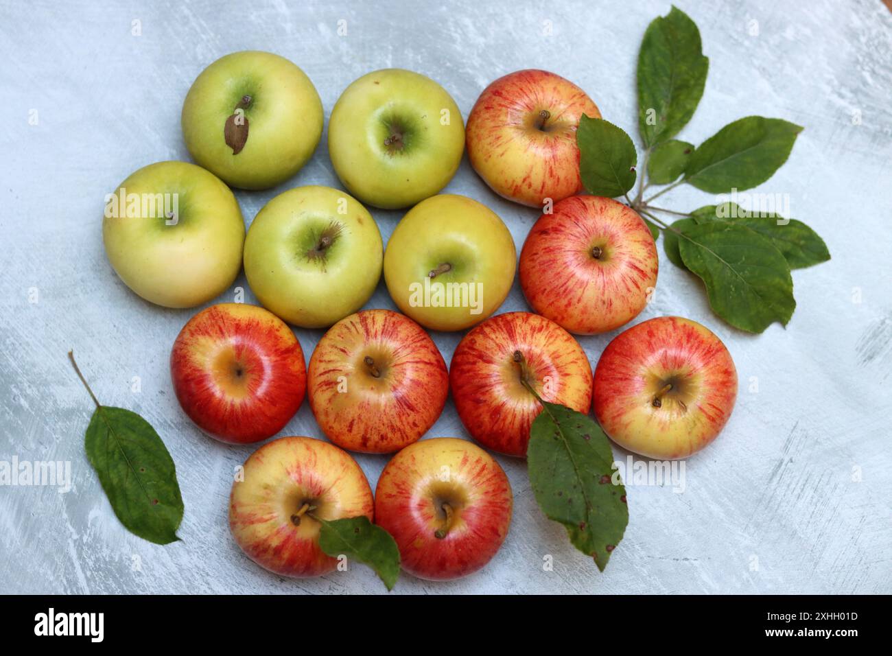 Wunderschöne grüne und rote Äpfel von oben. Saftige Bio-Früchte auf hellgrauem, strukturiertem Hintergrund mit Platz für Text. Konzept für gesunde Ernährung. Stockfoto