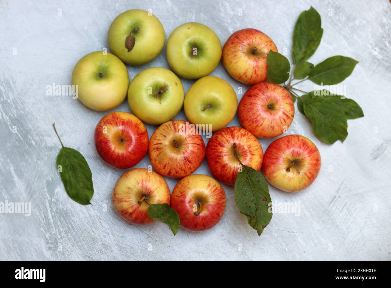 Wunderschöne grüne und rote Äpfel von oben. Saftige Bio-Früchte auf hellgrauem, strukturiertem Hintergrund mit Platz für Text. Konzept für gesunde Ernährung. Stockfoto