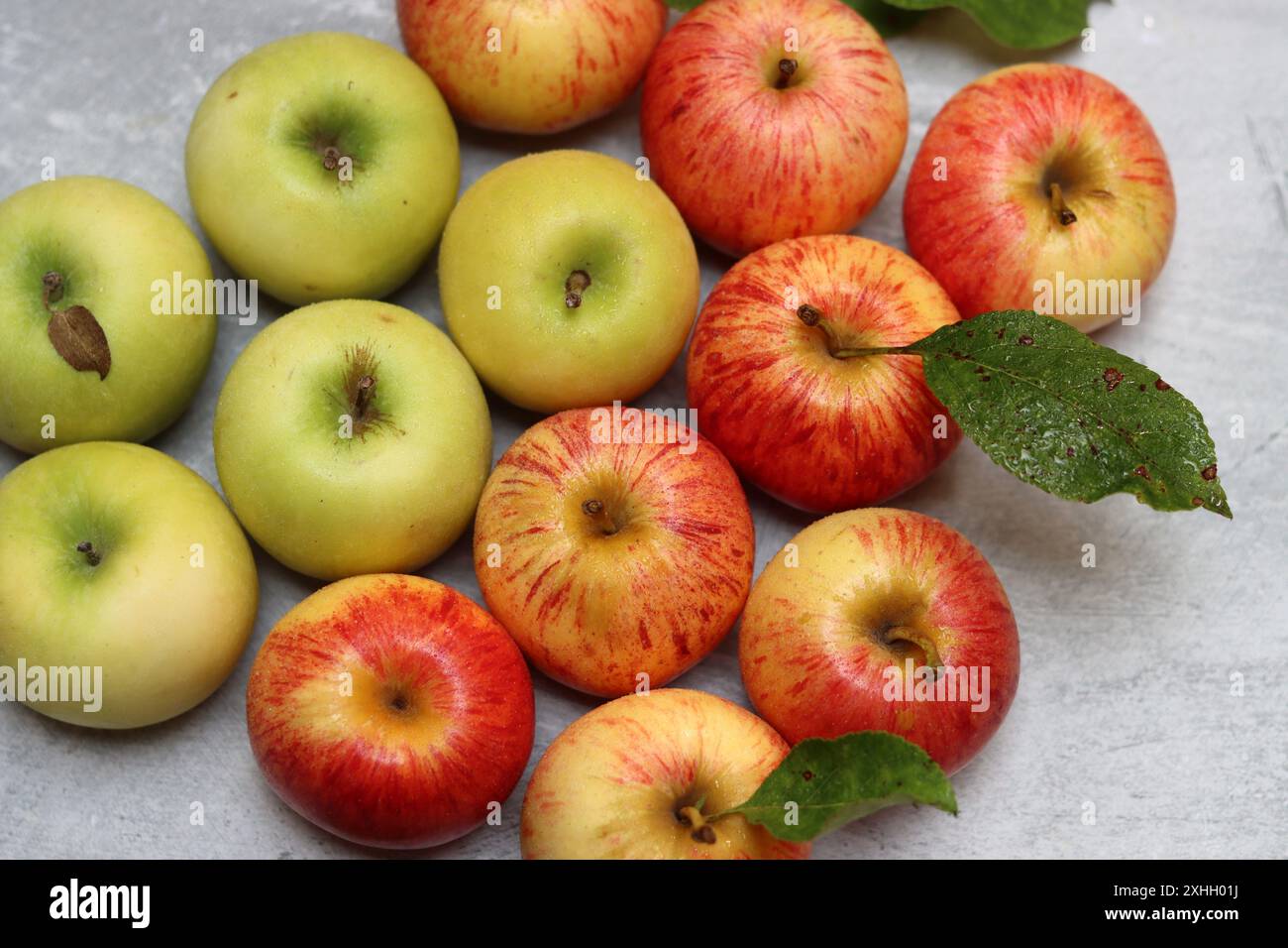 Wunderschöne grüne und rote Äpfel von oben. Saftige Bio-Früchte auf hellgrauem, strukturiertem Hintergrund mit Platz für Text. Konzept für gesunde Ernährung. Stockfoto