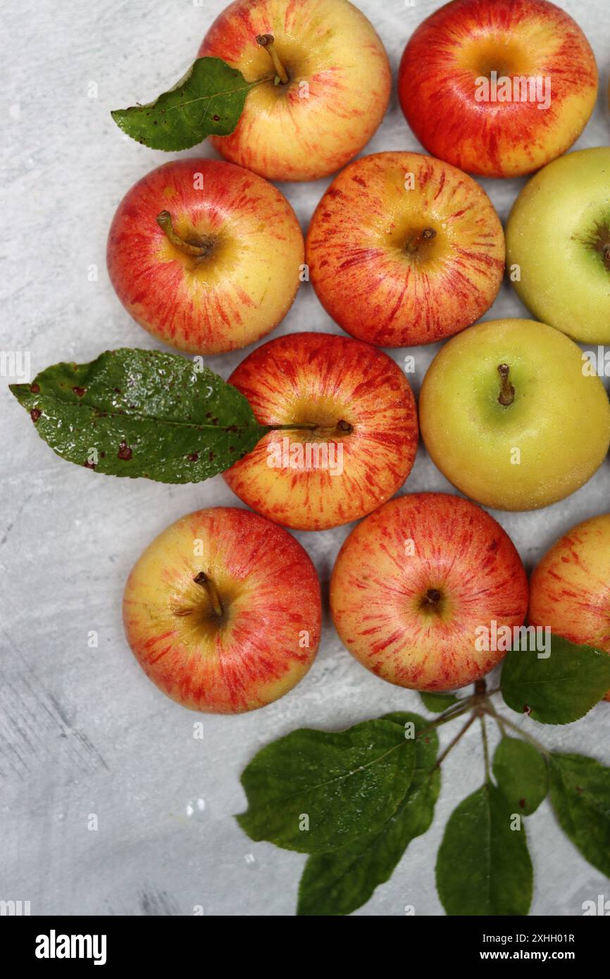 Wunderschöne grüne und rote Äpfel von oben. Saftige Bio-Früchte auf hellgrauem, strukturiertem Hintergrund mit Platz für Text. Konzept für gesunde Ernährung. Stockfoto