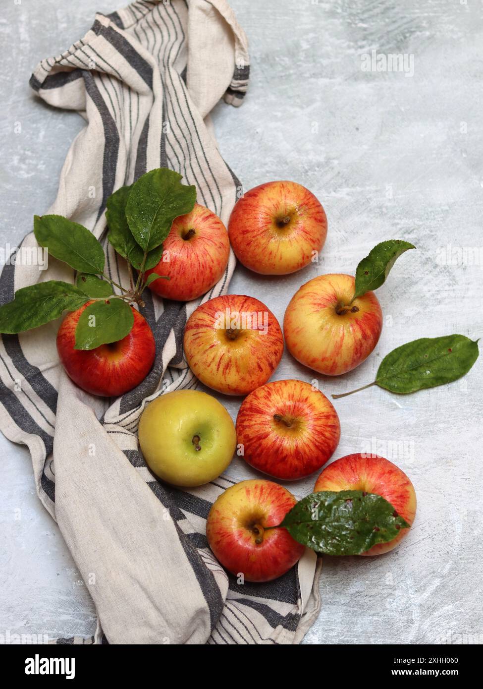 Wunderschöne grüne und rote Äpfel von oben. Saftige Bio-Früchte auf hellgrauem, strukturiertem Hintergrund mit Platz für Text. Konzept für gesunde Ernährung. Stockfoto