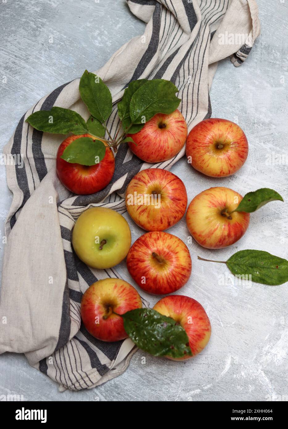 Wunderschöne grüne und rote Äpfel von oben. Saftige Bio-Früchte auf hellgrauem, strukturiertem Hintergrund mit Platz für Text. Konzept für gesunde Ernährung. Stockfoto