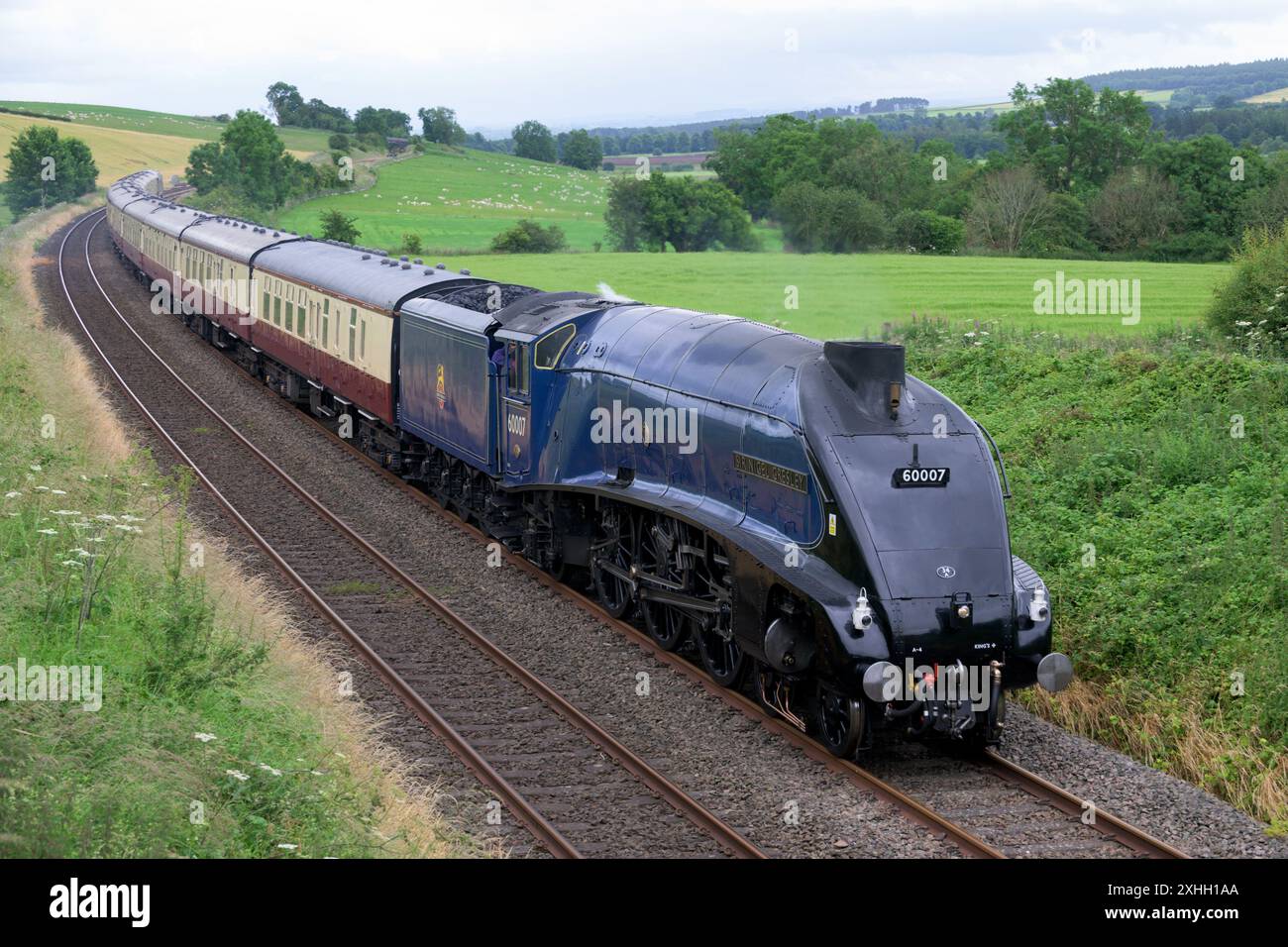 Die Sir Nigel Gresley-Lokomotive fährt den Siedler und Carlisle Fellsman durch Cumbria, in nördlicher Richtung bei Langwathby bei Penrith Stockfoto
