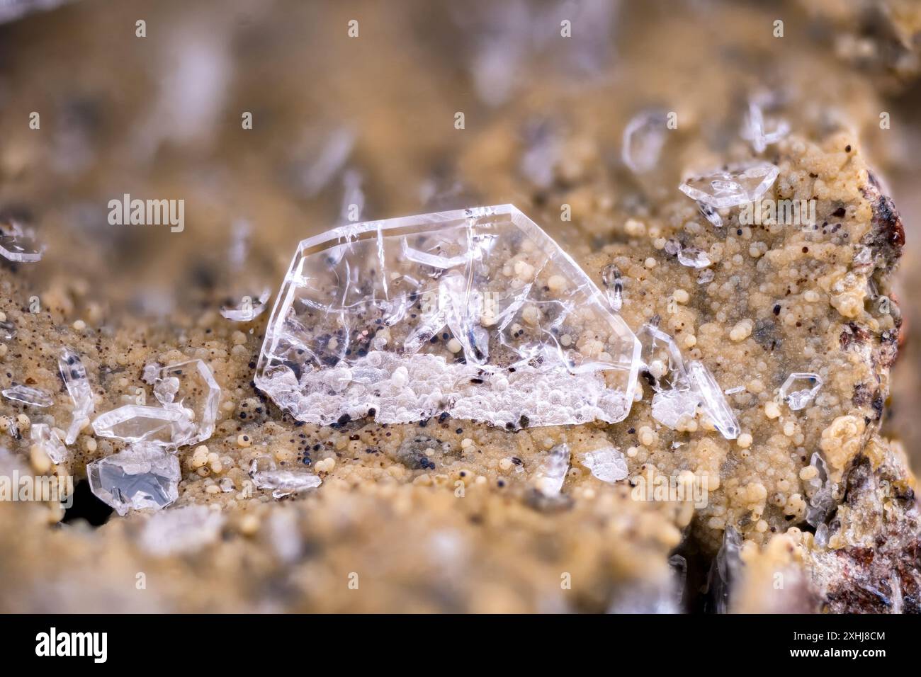 Lévyne-CA-Kristalle. Exemplar aus Fajã Grande, Portugal. Mikrofotografie extreme Nahaufnahme. Mikroskopfotografie für wissenschaftliche Zwecke Stockfoto