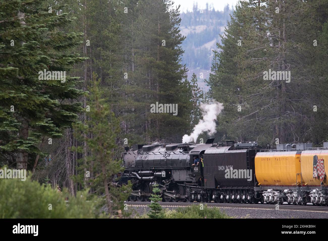 Truckee, USA. Juli 2024. Der Union Pacific „Big Boy“ macht sich auf seiner historischen Tour über den Donner Pass und in die Stadt Truckee, nachdem er renoviert wurde. Es stellte sich heraus, wie der Zug durch die Sierra Nevada in Kalifornien fährt. Juli 2024. (Foto: Hale Irwin/SIPA USA) Credit: SIPA USA/Alamy Live News Stockfoto