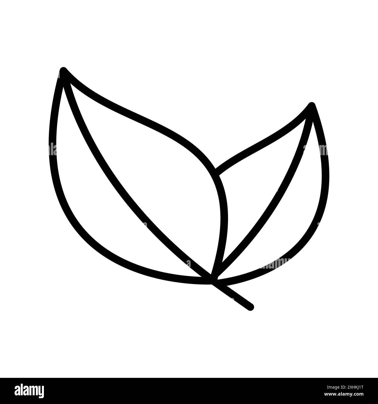 Vektor-Designvorlage für Blattsymbole in weißem Hintergrund Stock Vektor