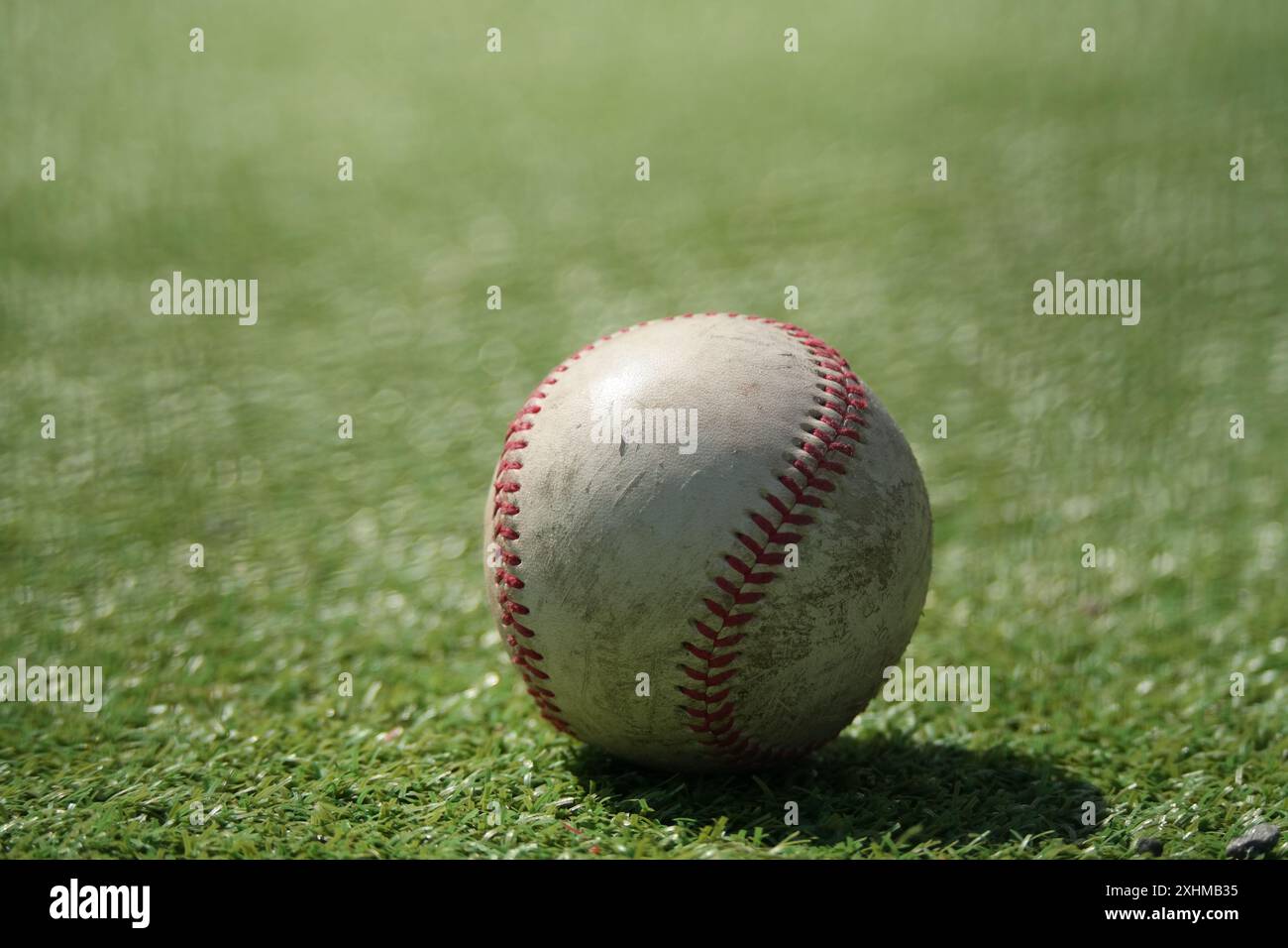 Ein alter Baseball liegt auf dem grünen Grasfeld Stockfoto