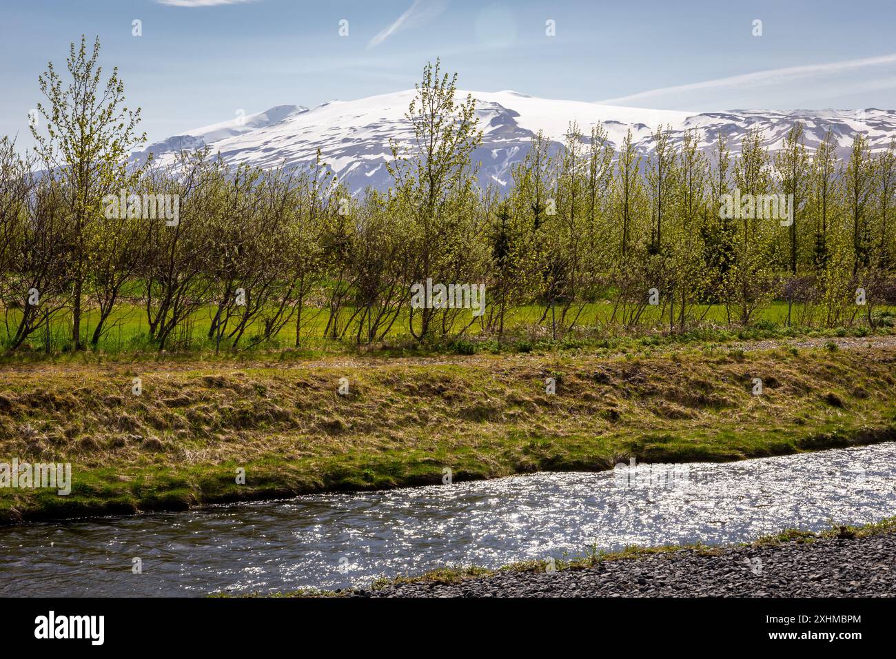 Eyjafjallajokull Eiskappe Vulkan und Gletscher Bergblick durch die grünen Bäume am Fluss Markarfljót im Thorsmork Tal, Island. Stockfoto