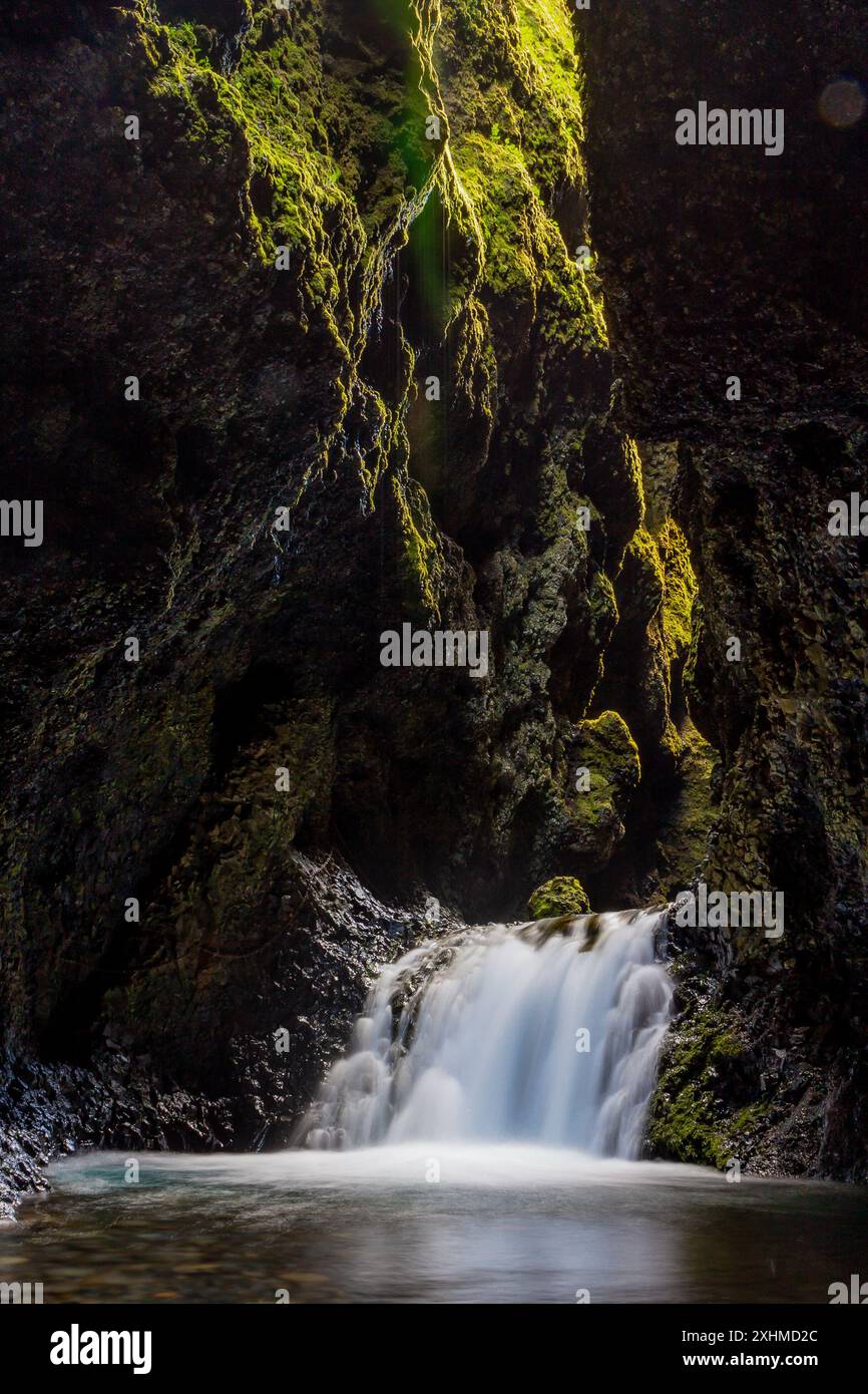 Nauthusagil-Schlucht in Island, mit Wasserfall, Felsen bedeckt mit grünem Moos und eindringendem Sonnenlicht, lange Exposition. Stockfoto