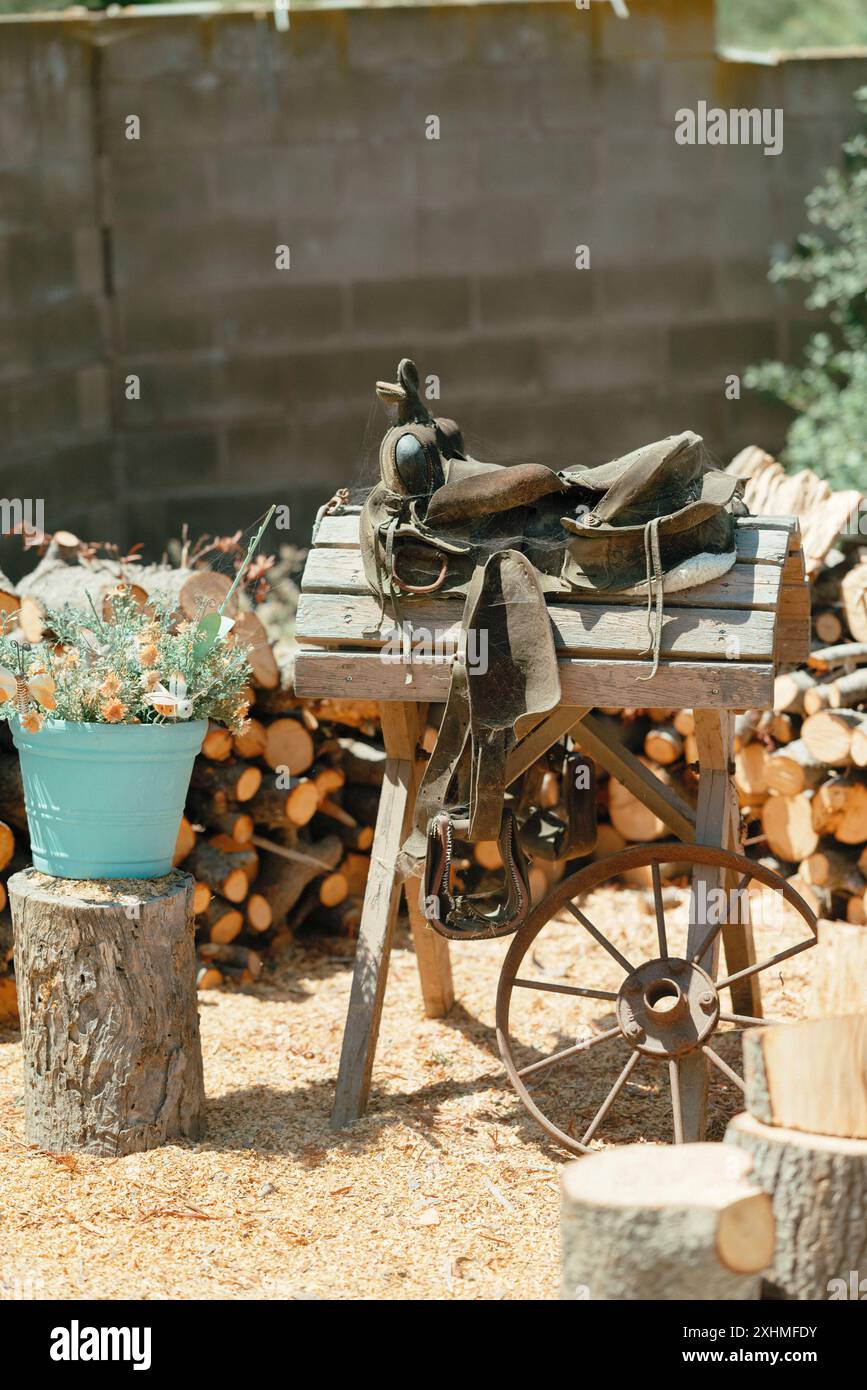 Alter Sattel auf einem Holzständer neben einer Topfpflanze. Stockfoto