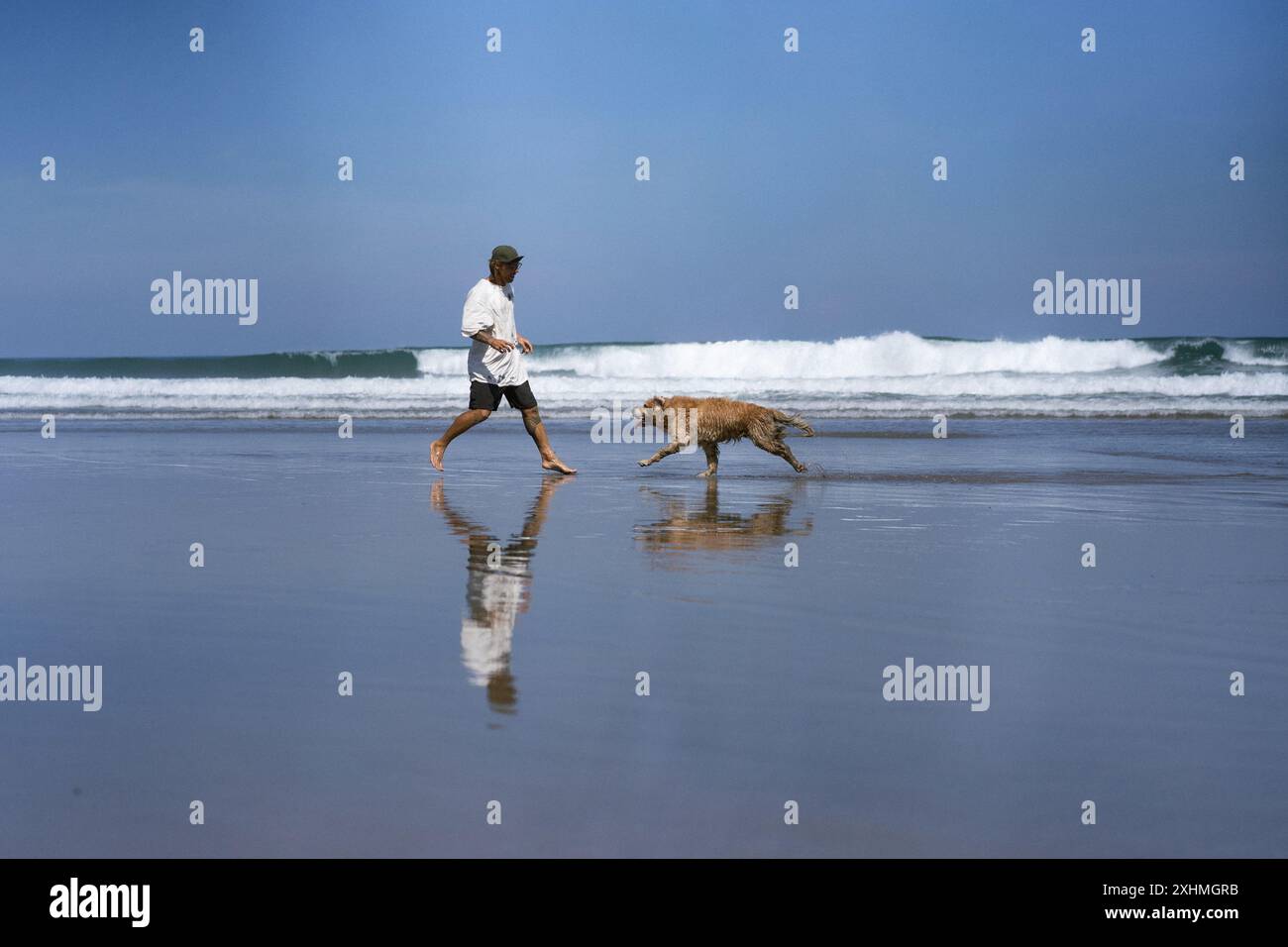 Der Mann spielt am Strand mit einem Hund, sie rennen herum und machen rumlächeln. Stockfoto