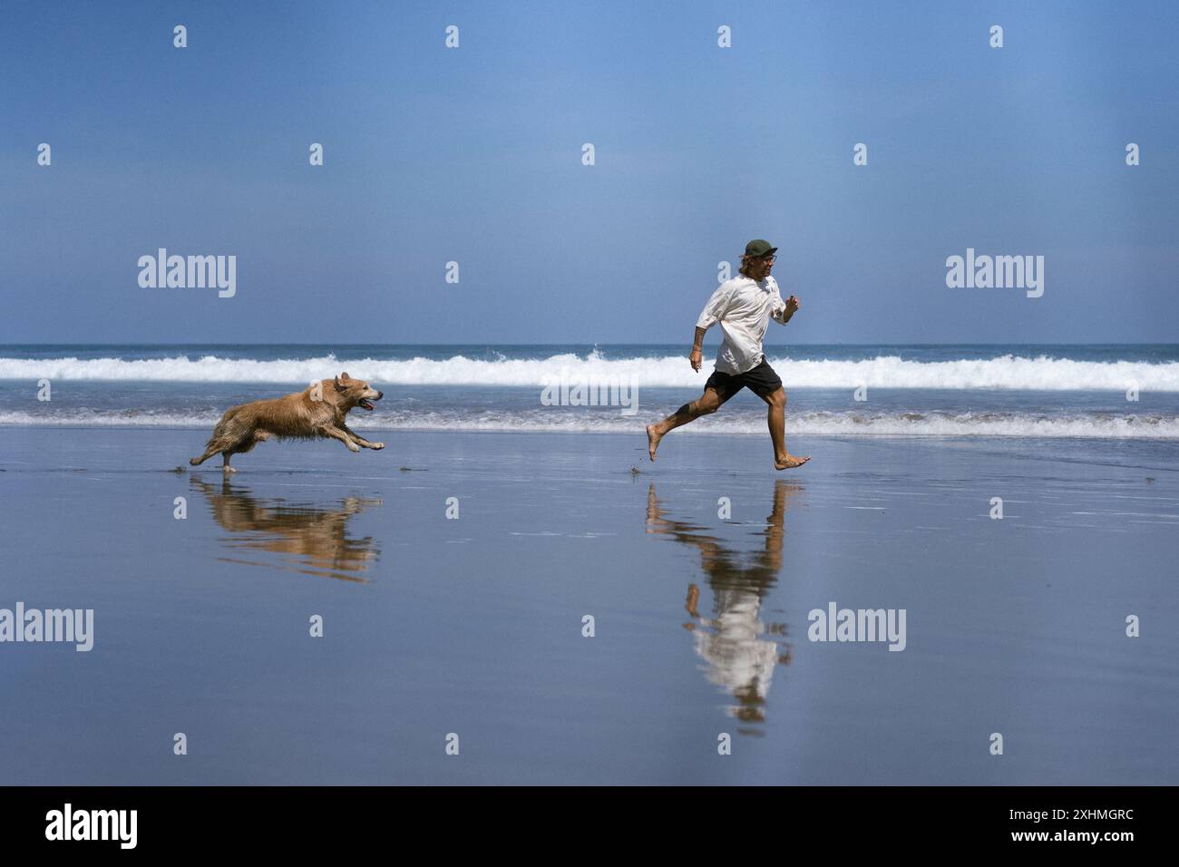 Mann spielt am Strand mit Retriever-Hund, sie rennen und täuschen herum. Stockfoto