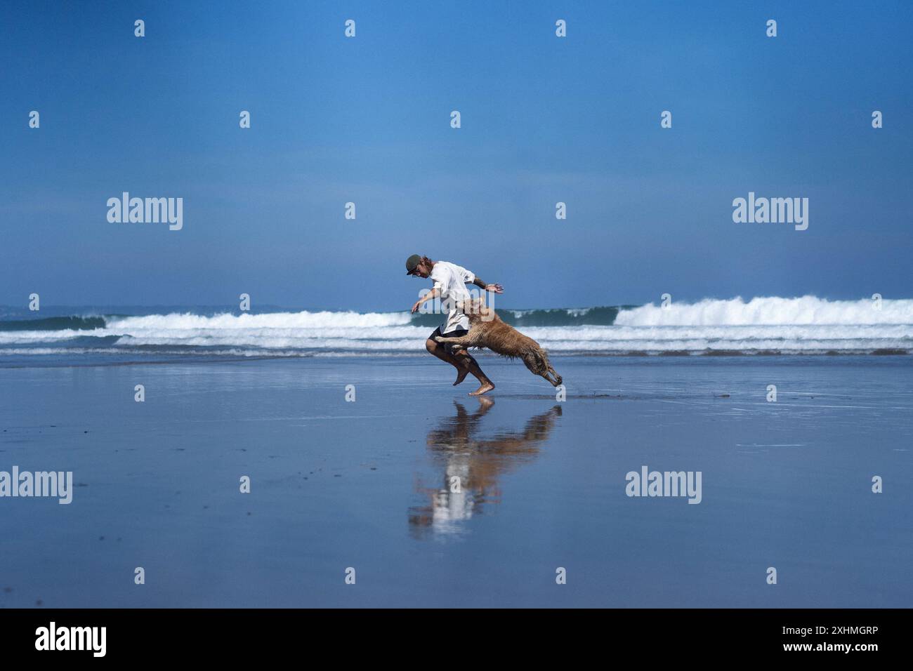 Mann spielt am Strand mit einem Hund, sie rennen und täuschen herum. Stockfoto