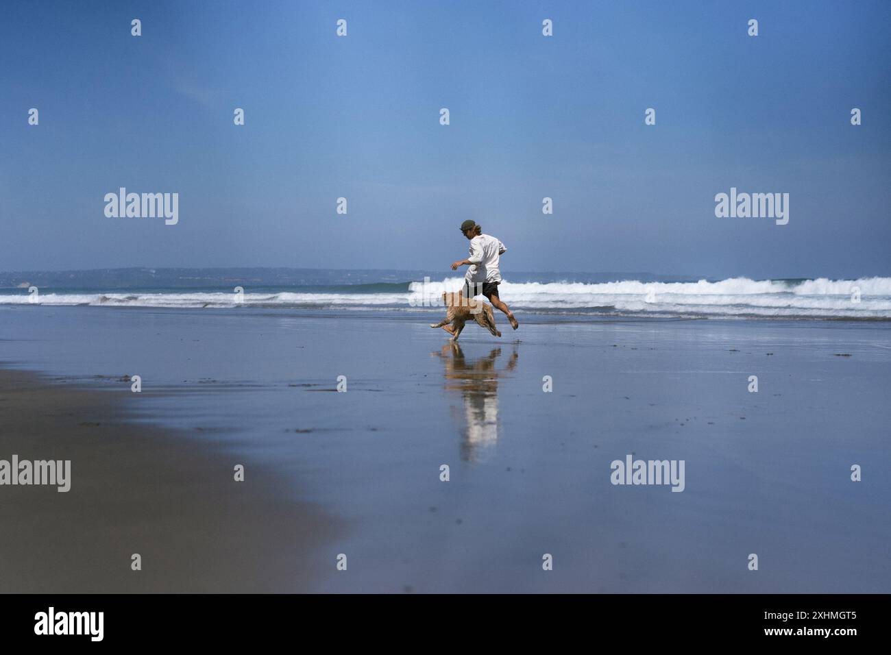 Mann spielt am Strand mit Retriever-Hund, sie rennen und täuschen herum. Stockfoto