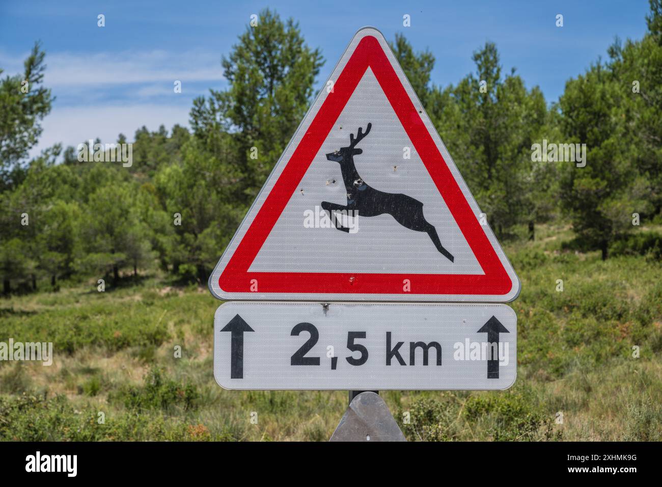 Beschädigtes Straßenschild in Frankreich, Einheimische benutzen das Schild für Zielübungen. Stockfoto