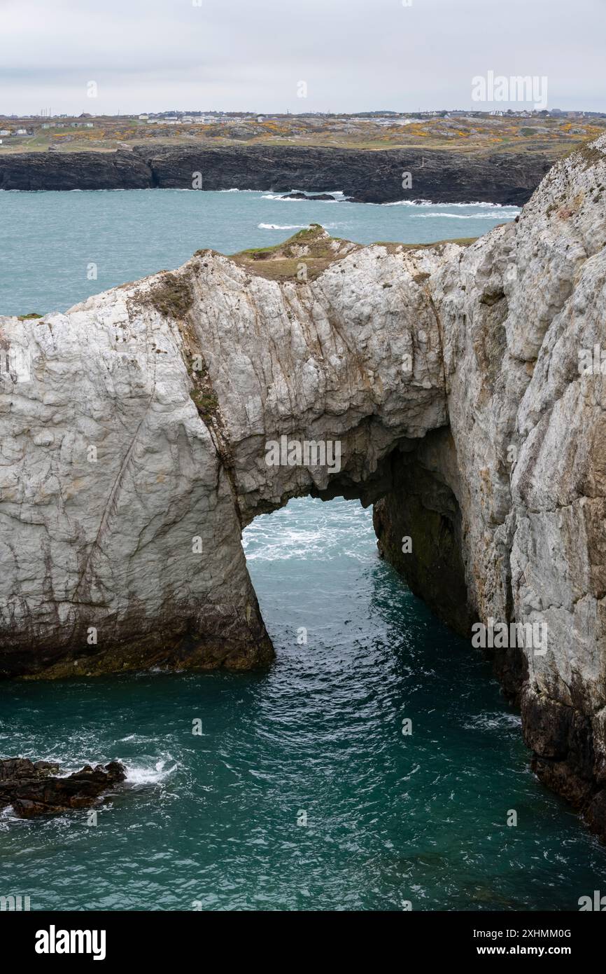 BWA Gwyn Rock Arch in der Nähe von Rhoscolyn, Anglesey, Nordwales. Stockfoto