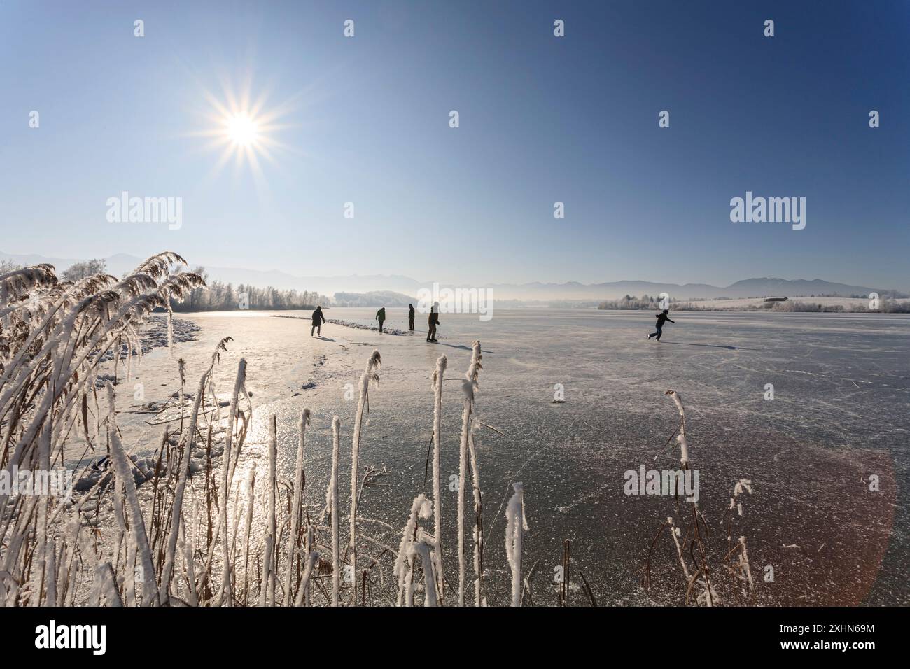 Menschen auf einem gefrorenen See im Winter, Schlittschuhlaufen, Riegsee, Murnau, Bayern, Deutschland, Europa Stockfoto