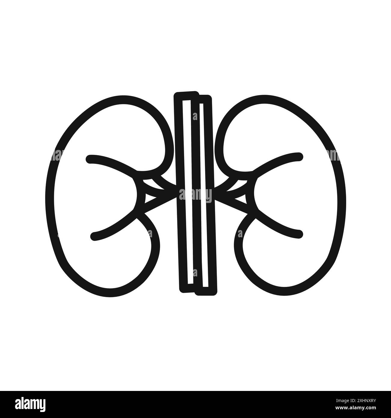Niere Icon Black Line Art Vektor in schwarz-weiß Umriss Set Sammlung Zeichen Stock Vektor